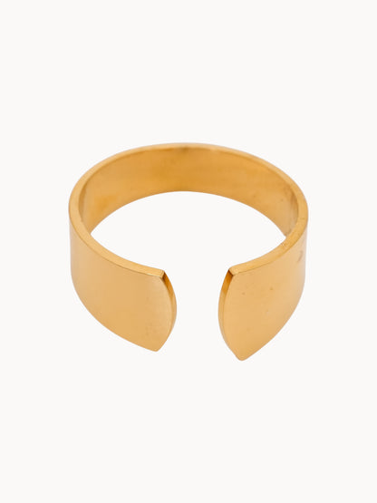 Anello Fascia