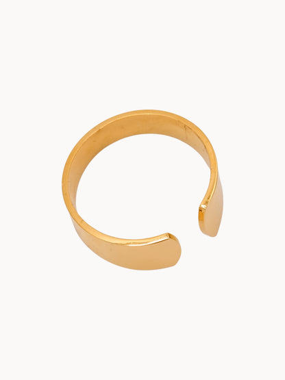 Anello Fascia